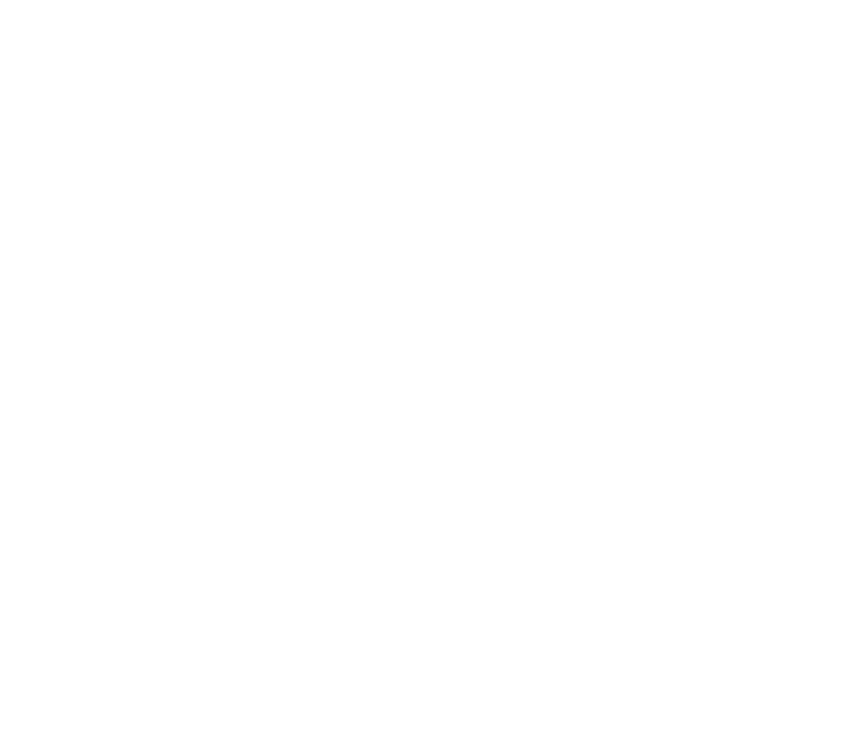 Ifese vzw